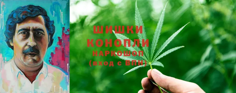 закладки  Колпашево  Канабис Ganja 